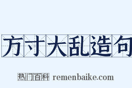 方寸大乱造句是什么意思的图片